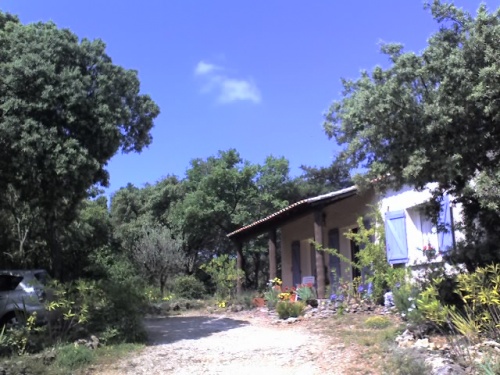 fleurs artificielles