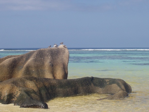 La solitude, ça n'existe pas!