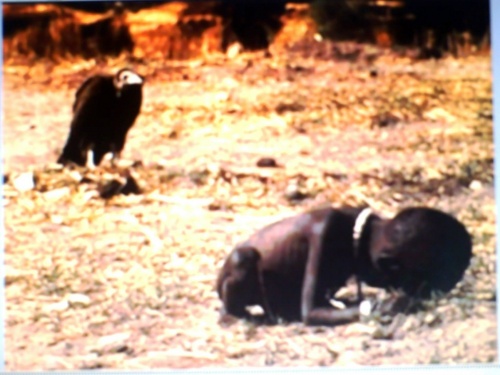 le vautour s'impatiente