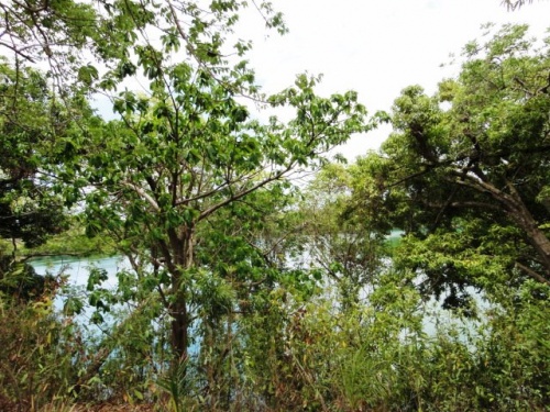 prédiction du marabout 