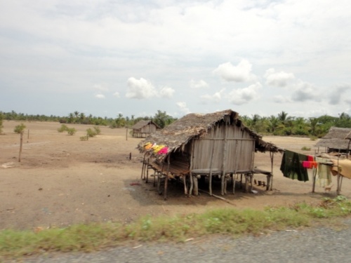 Case dans la mangove