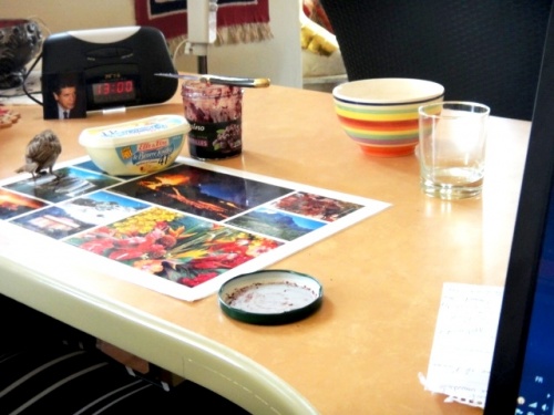 M. Bird admire  son hôte à côté de moi