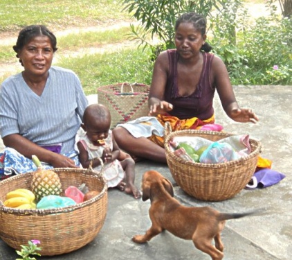 Toutou nous a adoptés
