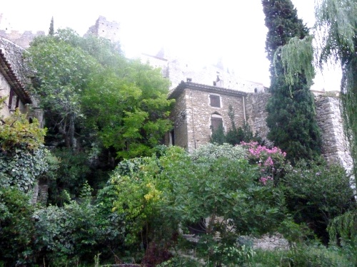 Des fleurs dans les vieilles pierres