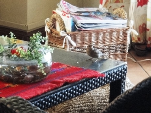 Où il y a de la gêne...