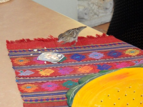 Ma foi, c'est pas mauvais...