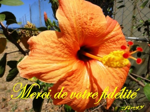 Merci de votre fidélité !