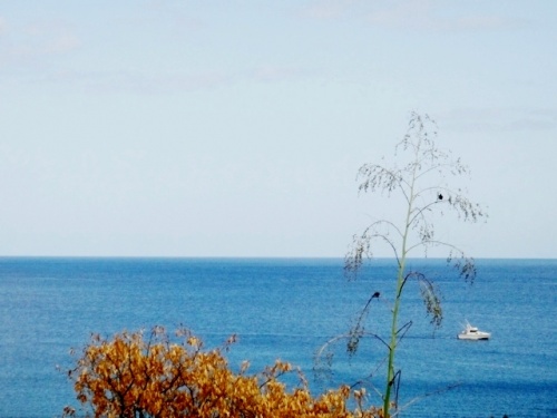 Douceur du temps qui passe