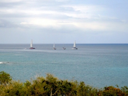 Voiliers en goguette 