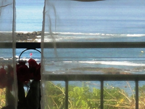 Le pêcheur au tee- shirt rouge