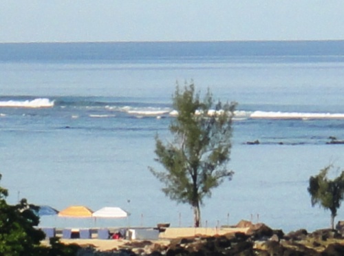 Parasols pour canicule
