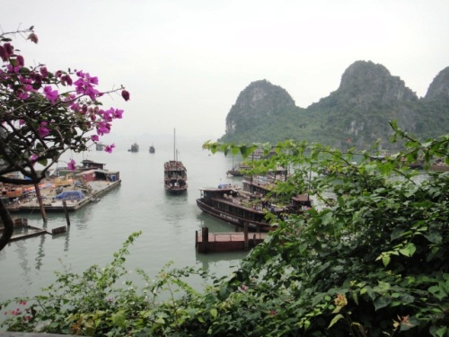 Le port de Cat Ba dans l'île au milieu des rochers