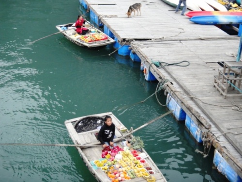 Petite marchande de fruits du village flottant