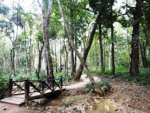 Le sentier qui mène aux chutes