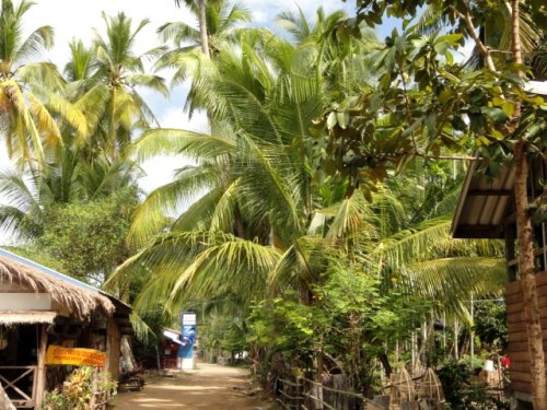 Dans l'île de Don Khone