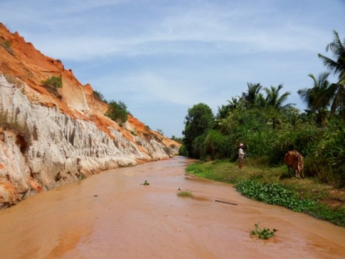 La vie au bord de la rivière