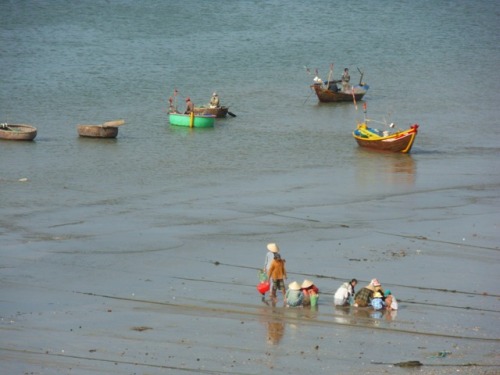 Coquillages et crustacés