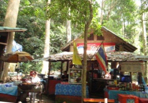 Gargotte dans la forêt tropicale