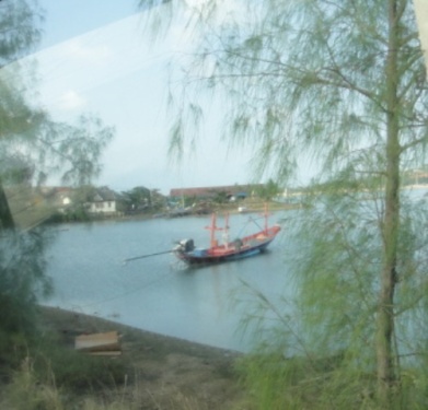 A travers les filaos