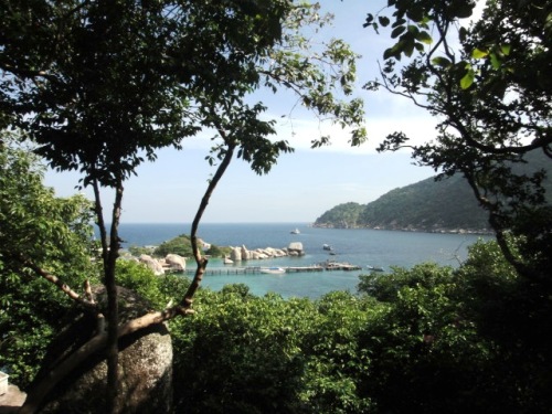 Débarcadère depuis le bungalow