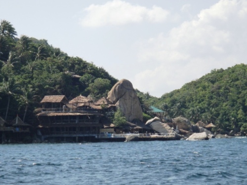 La nature s'amuse à Koh Tao !