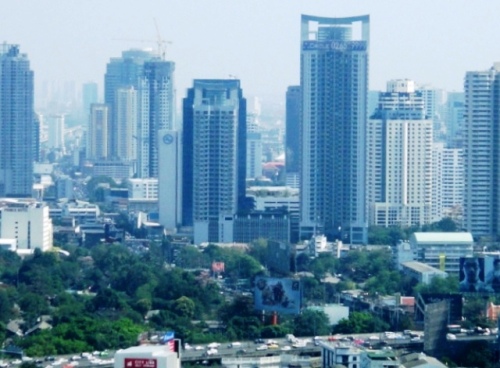 Un petit coin de verdure