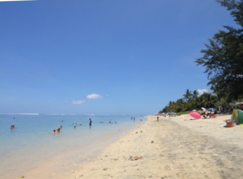 Filaos et lagon clair...