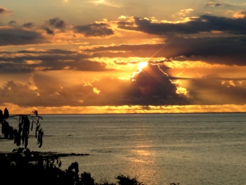 Le thermomètre va pouvoir redescendre et les feuilles se rafraîchir avec la rosée de la nuit