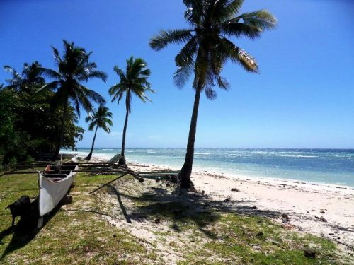 Bohol aux Philippines