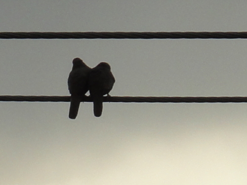 La romance éternelle