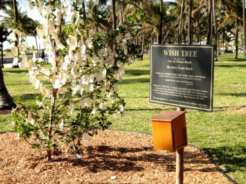 Tous les souhaits accrochés comme des fleurs, à Miami Beach