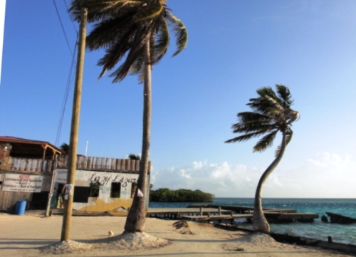 Lazy Lezard diving-bar dans l'océan !
