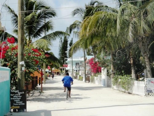 Mais avec des vélos!