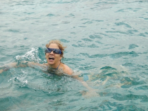 Attention requin devant !