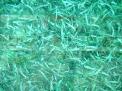 prairie sou-s marines