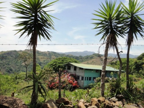 Une habitation de tôle et ses bougainvillées