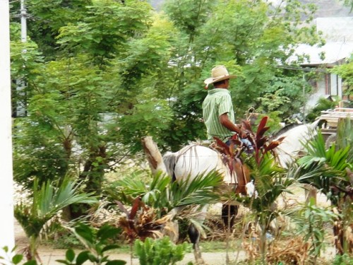 Sur la route devant le Soda (Restaurant typique)
