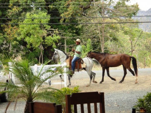 A pied à cheval ou en voiture sur la route!