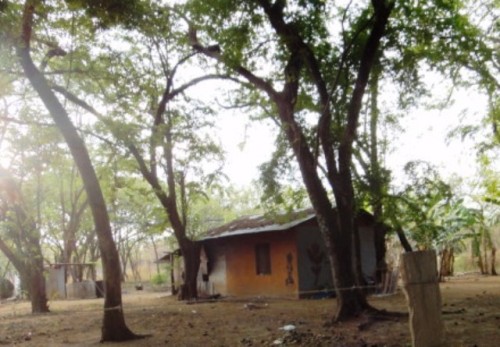 Petite case aux environs de Playa Grande