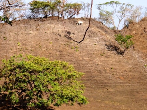 Vivement la pluie-Playa Grande