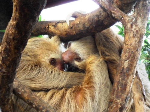 La tendresse Monsieur Madame !