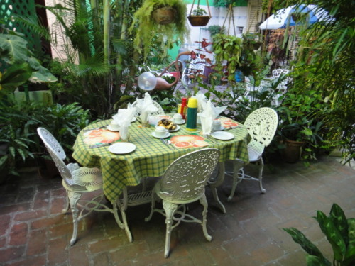 Petit dèj  à Carmaguey