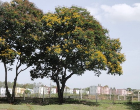 En  quittant Santiago