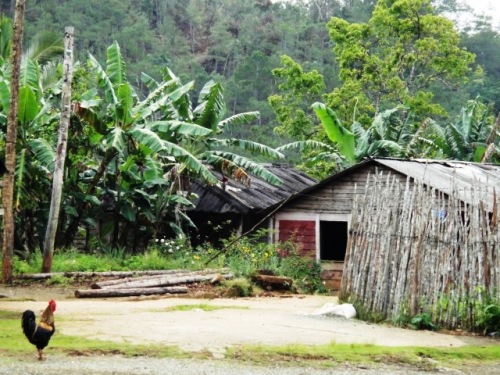 Petite case et sa palissade 