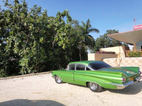 Une belle américaine de plus de 50 ans !