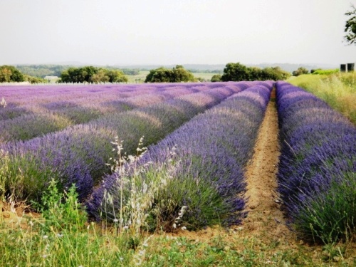 Dles rayons de soleil s'y attardent