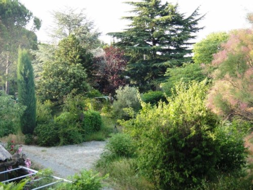 Jardin bordant le chemin