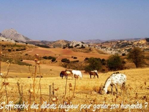 S'affranchirr des diktats religieux indignes de l'humanité!