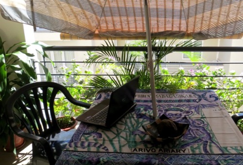 Petite terrasse fleurie où j'écris