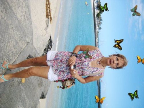 L'hiver austral aux Roches Noires